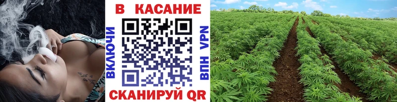 Где можно купить наркотики Курильск КОКАИН  Гашиш  кракен маркетплейс  Марихуана  СОЛЬ  АМФ 