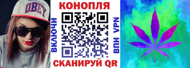 наркотики  Курильск  Бошки марихуана SATIVA & INDICA 